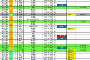 三镇、海牛、铁人、铜梁龙2026中超联赛报名名单（夏窗后）